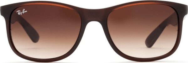 Ray-Ban Andy RB4202 607313 55